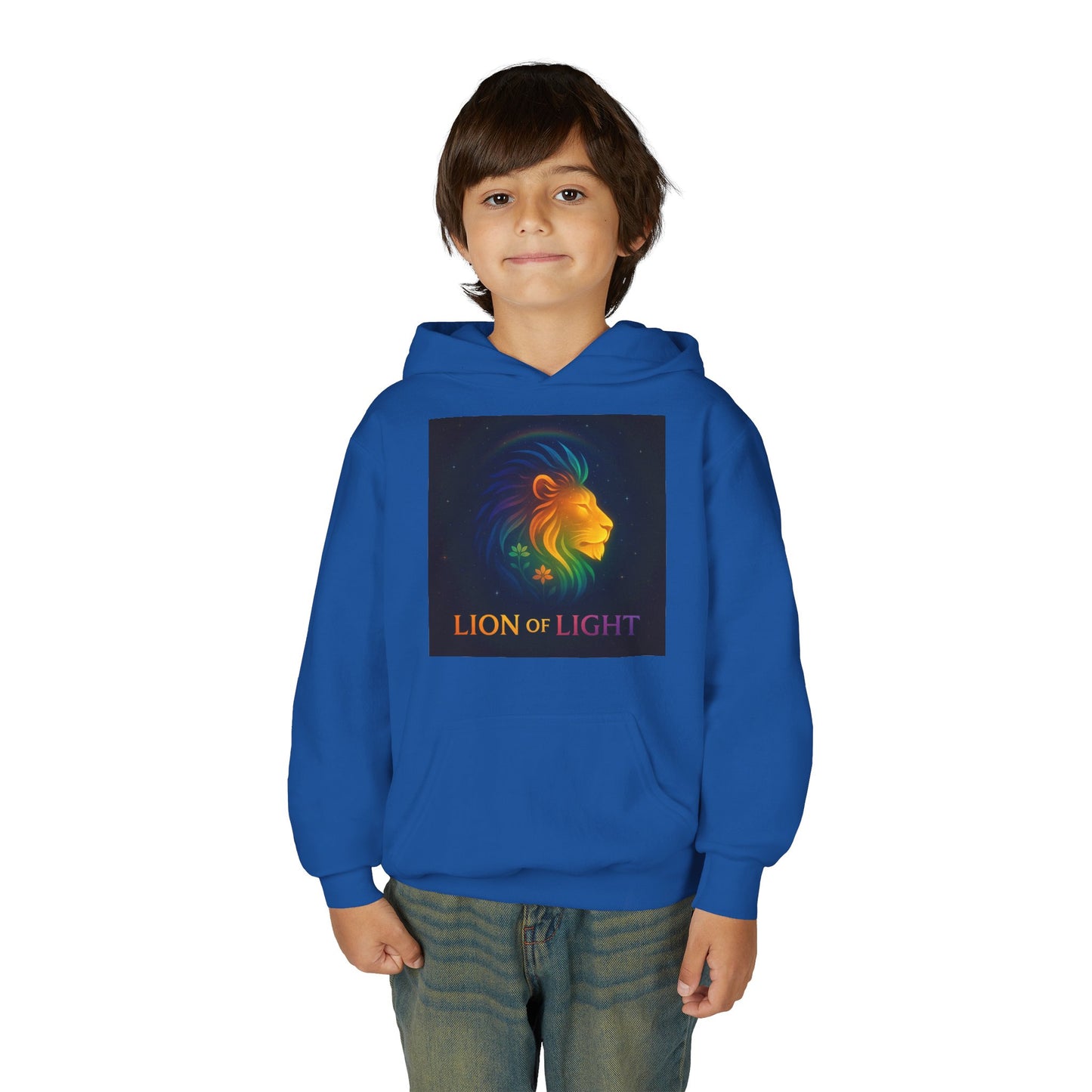 Youth Hooded Sweatshirt - Lion Of Light