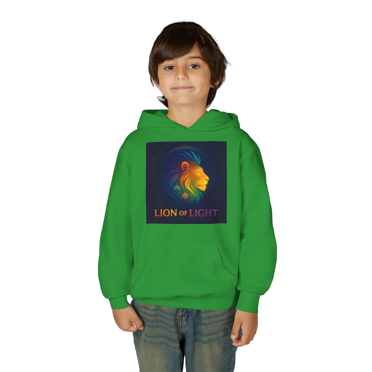 Youth Hooded Sweatshirt - Lion Of Light
